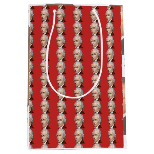 アレクサンダー・ハミルトンのギフトバッグ ミディアムペーパーバッグ (正面)