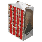 アレクサンダー・ハミルトンのギフトバッグ ミディアムペーパーバッグ (裏面アングル)