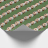 アレクサンダー・ハミルトンの包装紙 ラッピングペーパー (角)