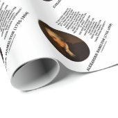 アレクサンダー・ハミルトンの民主主義の経験の専制政治 ラッピングペーパー (ロールコーナー)