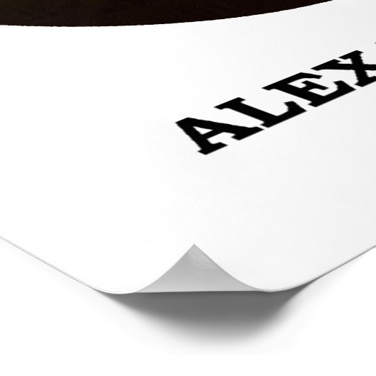 アレクサンダー・ハミルトン政府の情熱の制約 ポスター (角)