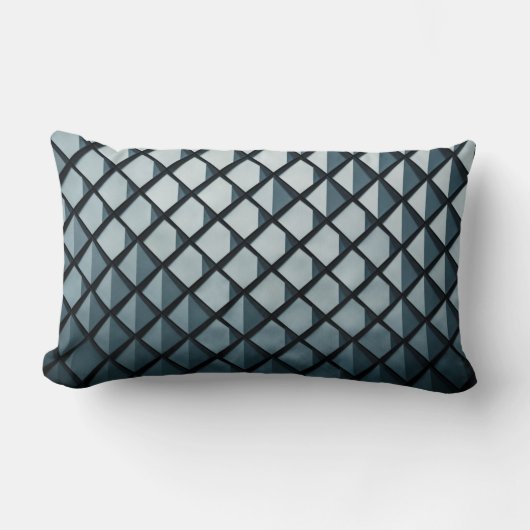 アレクサンデルファー2 ランバークッション (正面)