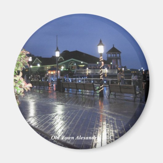 アレクサンドリアV.A磁石 マグネット (正面)