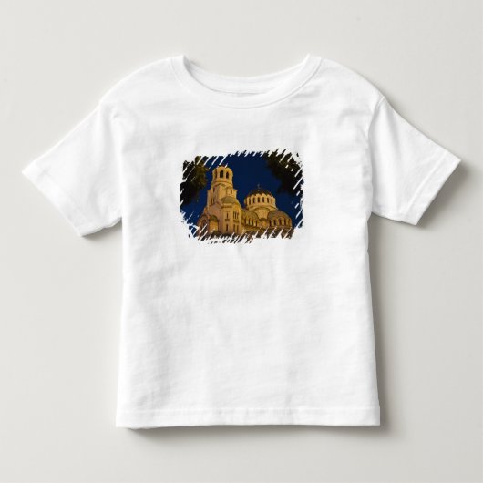 アレクサンドル・ネフスキー大聖堂の夜景 トドラーTシャツ (正面)