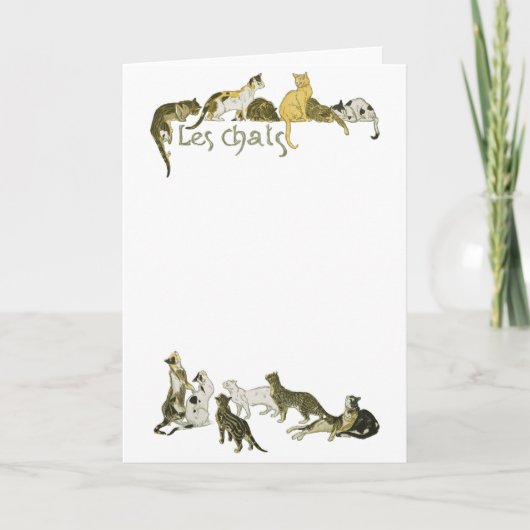 アレクサンドレ・スタインレン・キャッツ カード (正面)