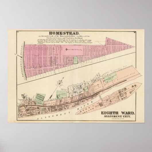 アレゲニー区8ホームステッド ポスター (正面)