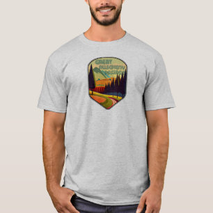アレゲ素晴らしニー通路の色 Tシャツ