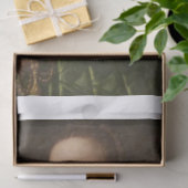 アレサンドロ・アロリ・デコップページによるレディのポートレート 薄葉紙 (ギフト)