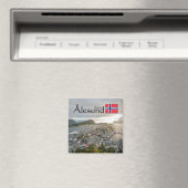 アレスントノルウェーサミナリー マグネット (インサイチュ (食洗機))