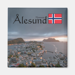 アレスントノルウェーサミナリー マグネット