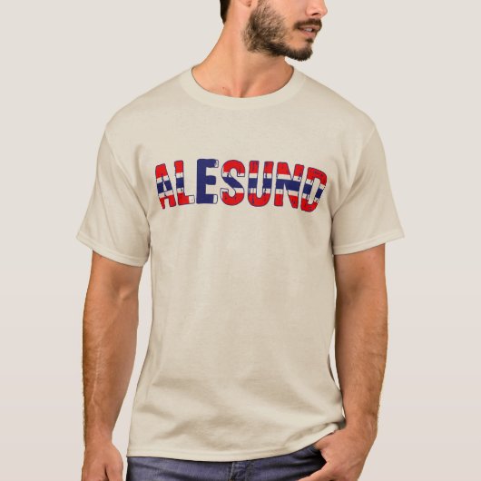 アレスントノルウェー Tシャツ (正面)