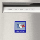 アレズフランスのレブレウス国旗 マグネット (インサイチュ (食洗機))