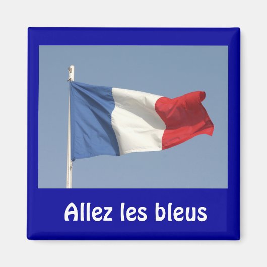 アレズフランスのレブレウス国旗 マグネット (正面)