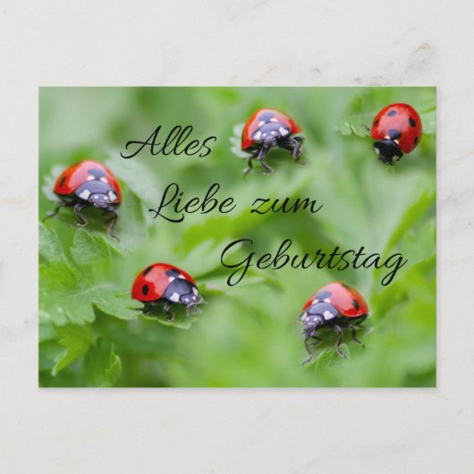 アレズ・リーベ・ツム・ゲバートスタグ! ポストカード (正面)