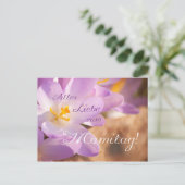 アレズ・リーベ・ツム・マミタグ！ ポストカード (スタンド正面)