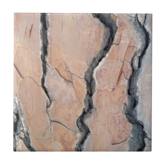 アレッポパイン タイル (正面)