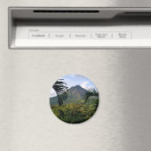 アレナル山 マグネット (インサイチュ (食洗機))