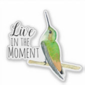 アレンのハミングバードステッカー シール (正面)