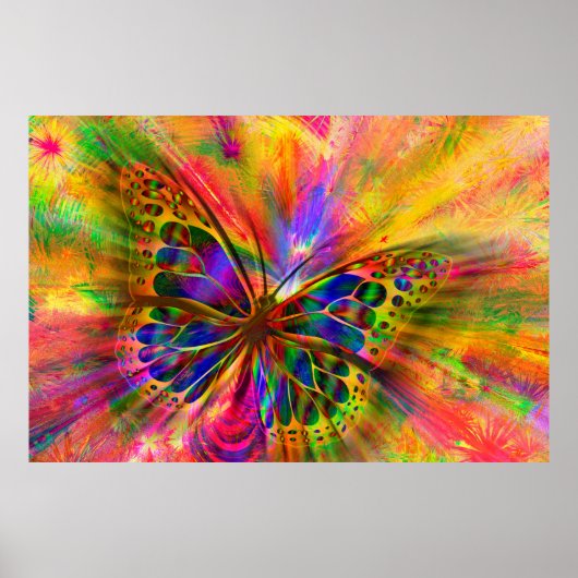 アレンジバタフライ美学 ポスター (正面)