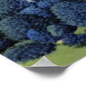 アレンタウンペンシルバニアシダークレストカレッジ ポスター (角)