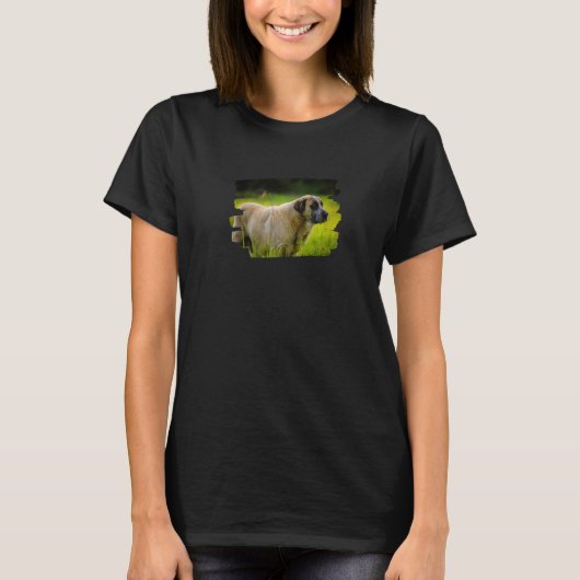 アレンテジョ犬のラフェイロ Tシャツ (正面)