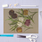 アレント・ヘンドリカ・アレンドセン・フリティリア・メレアグリス 薄葉紙 (クラフト)