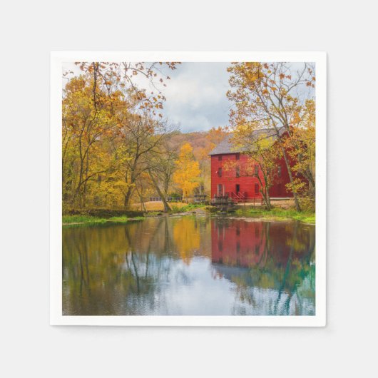 アレーミルアンド春 スタンダードカクテルナプキン (正面)