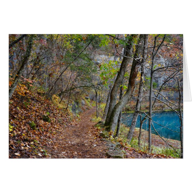 アレーミルオータムウォーク (正面横)