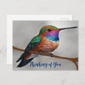 アレ鮮やかンのハミングバ絵を描ード ポストカード (正面/裏面)