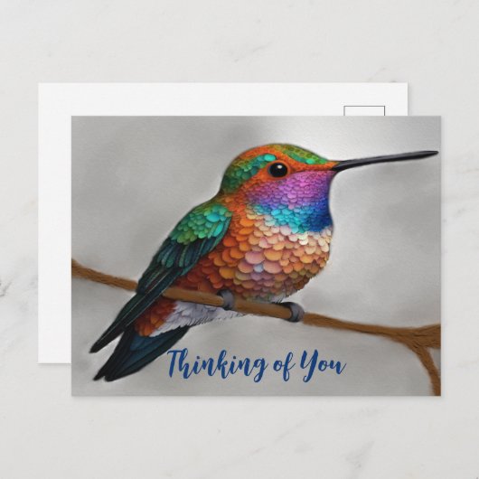 アレ鮮やかンのハミングバ絵を描ード ポストカード (正面/裏面)