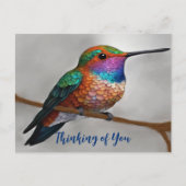 アレ鮮やかンのハミングバ絵を描ード ポストカード (正面)