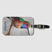 アレ鮮やかンのハミングバ絵を描ード ラゲッジタグ (正面横)