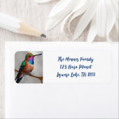 アレ鮮やかンのハミングバ絵を描ード ラベル (インサイチュ)