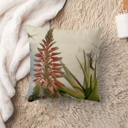 アロエのヴィエラの植物の写真の投球のクッション41 cm X 41 cm クッション (ブランケット)
