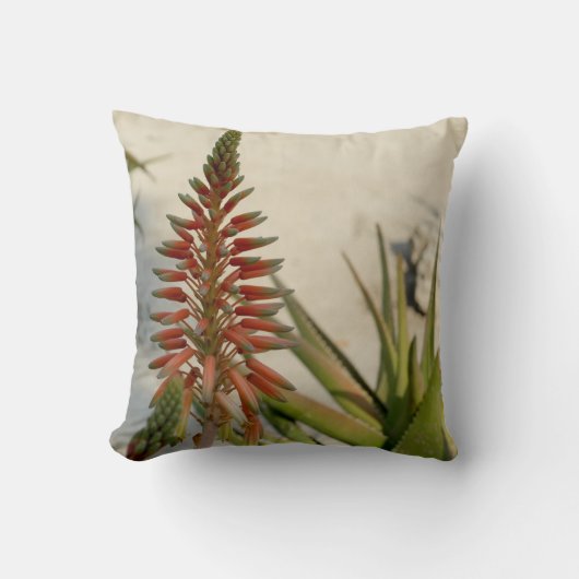 アロエのヴィエラの植物の写真の投球のクッション41 cm X 41 cm クッション (正面)