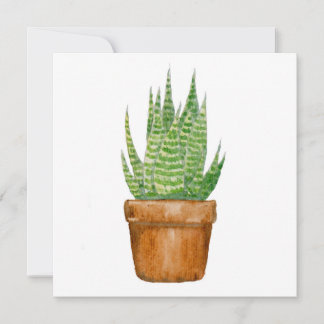 アロエの植木鉢 フラットグリーティングカード カード