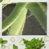 アロエの植物 キッチンタオル (折り畳み)