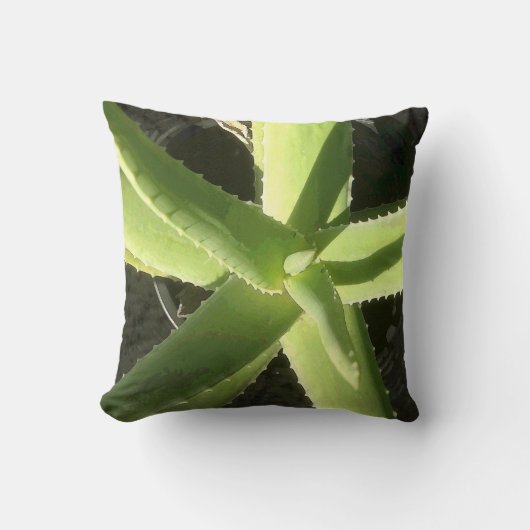 アロエの植物 クッション (正面)