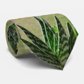 アロエの"わに" VariegataのSucculent ネクタイ (ロール)