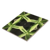 アロエパターン3h タイル (側面)