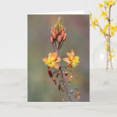 アロエフラワー カード (黄色い花)