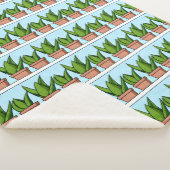 アロエベラの棚植物アイアート シェルパブランケット (3/4)