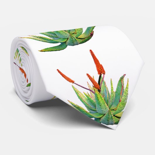 アロエベラタイ ネクタイ (ロール)