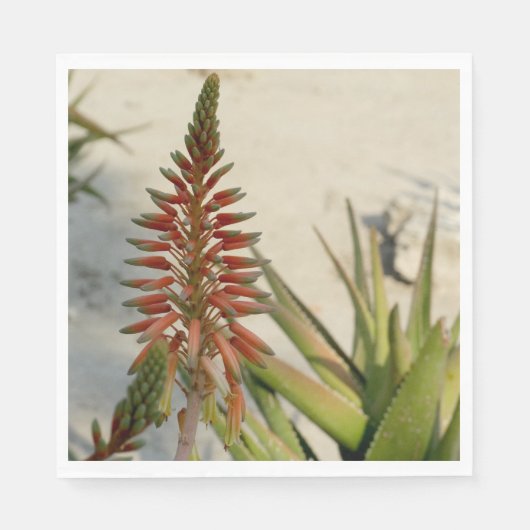 アロエベラフォトランチョンナプキン スタンダードランチョンナプキン (正面)