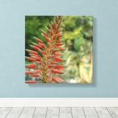 アロエベラフラワーブロッサムフォトプリント キャンバスプリント (インサイチュ (ウッドフロア))