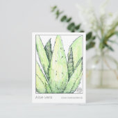 アロエベラマテリアメディカカードハーブ勉強植物 ポストカード (スタンド正面)