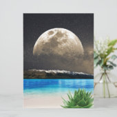 アロエベラムーンビーチ (スタンド正面)