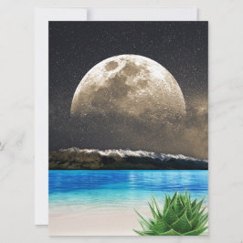 アロエベラムーンビーチ