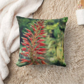 アロエベラ植物写真投げクッション、アロエクッション クッション (ブランケット)