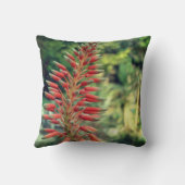 アロエベラ植物写真投げクッション、アロエクッション クッション (裏面)